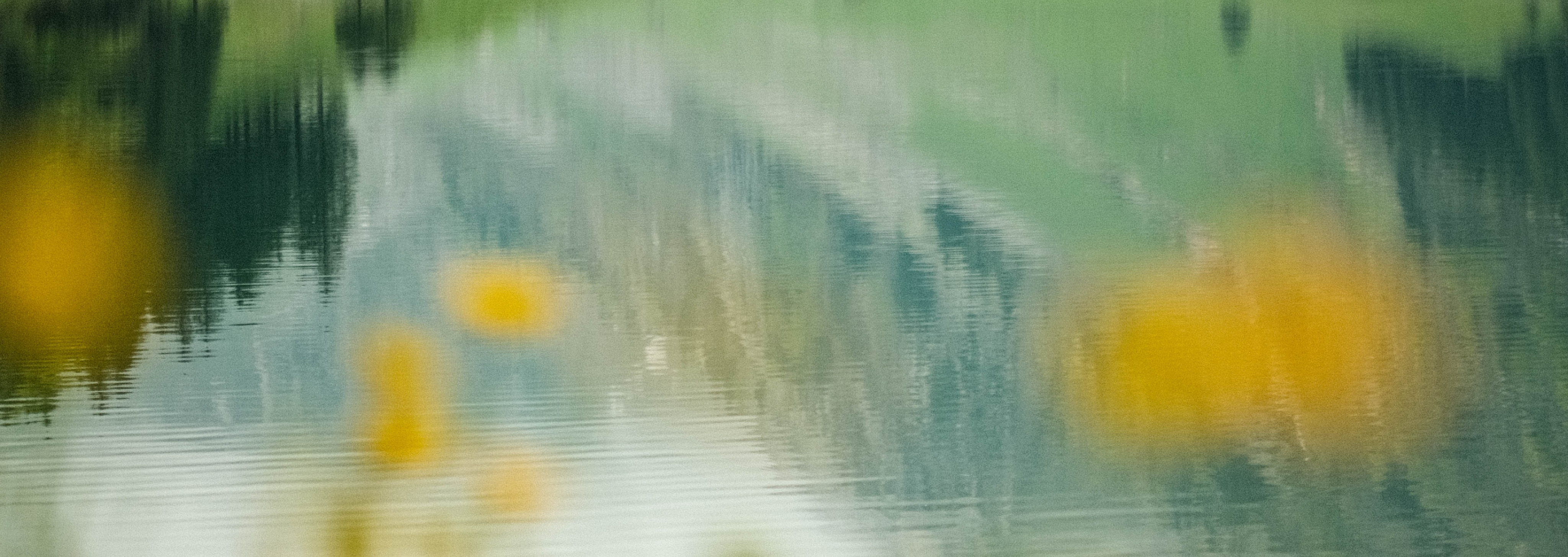 blurry image of a mountain lake with yellow flowers.